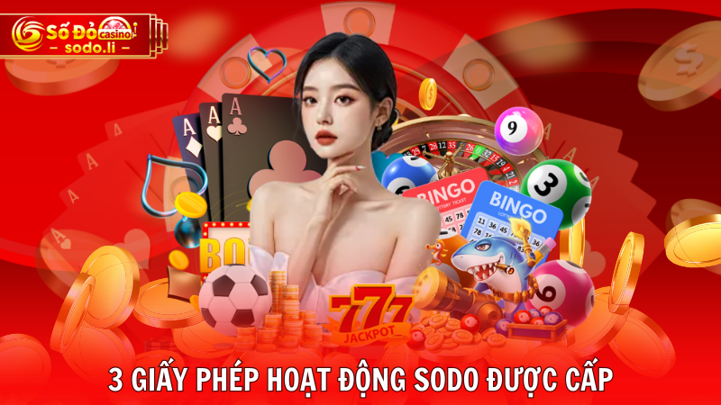 3 giấy phép hoạt động SODO được cấp 3 giấy phép hoạt động SODO được cấp