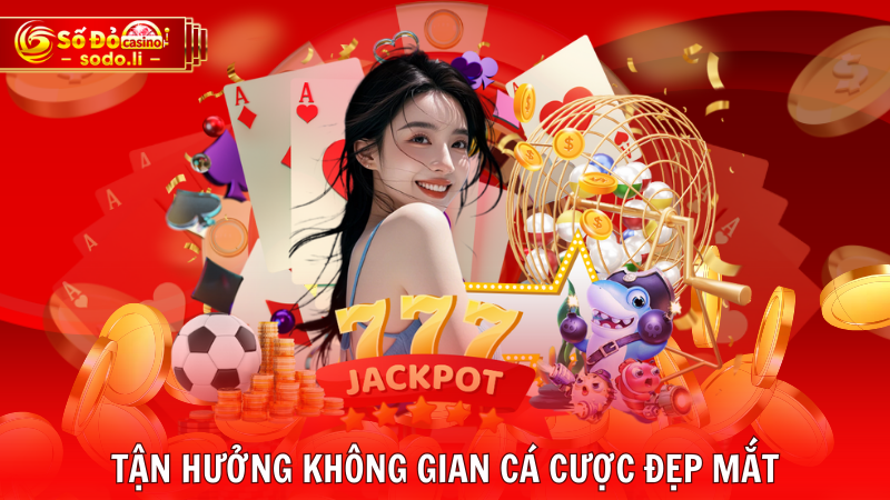 Tận hưởng không gian cá cược đẹp mắt Tận hưởng không gian cá cược đẹp mắt