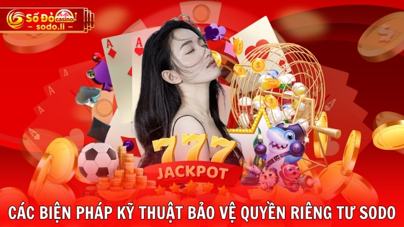 Các biện pháp kỹ thuật bảo vệ quyền riêng tư SODO Các biện pháp kỹ thuật bảo vệ quyền riêng tư SODO