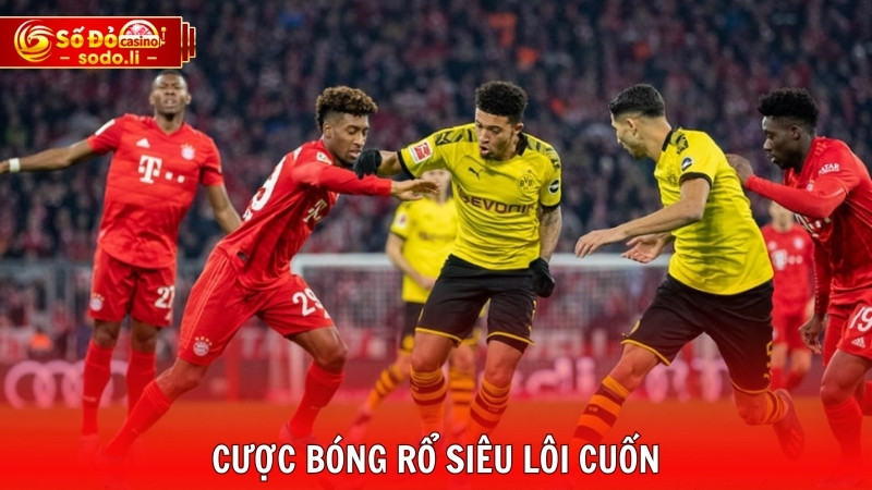 Cược bóng rổ siêu lôi cuốn Cược bóng rổ siêu lôi cuốn