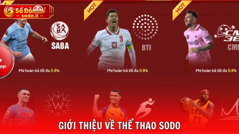 Giới thiệu về thể thao SODO Giới thiệu về thể thao SODO