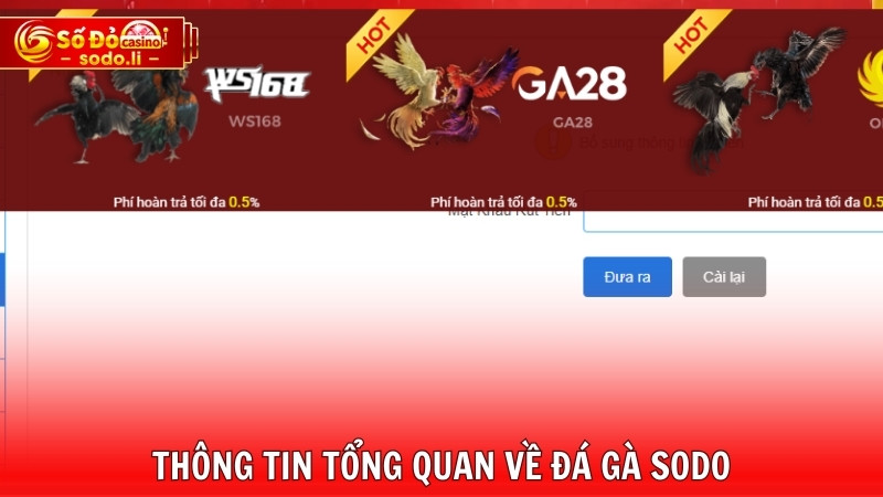 Nói sơ về đá gà SODO Nói sơ về đá gà SODO