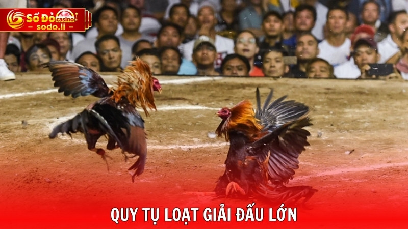 Quy tụ loạt giải đấu lớn Quy tụ loạt giải đấu lớn