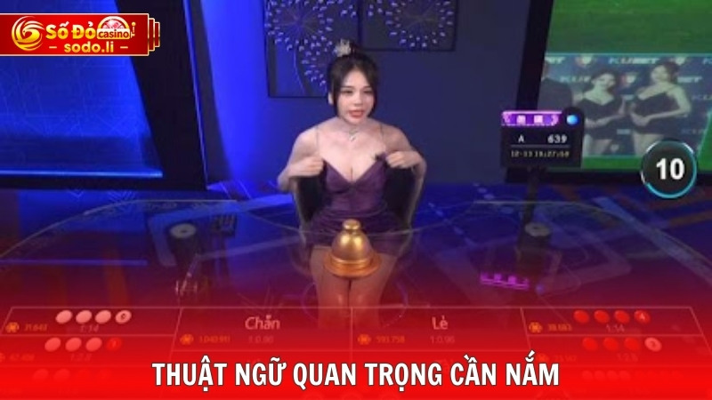 Thuật ngữ quan trọng cần nắm Thuật ngữ quan trọng cần nắm