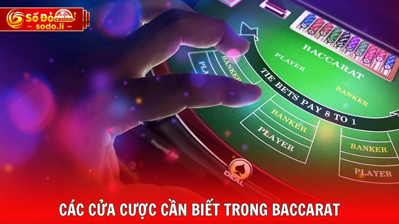 Các cửa cược cần biết trong Baccarat Các cửa cược cần biết trong Baccarat