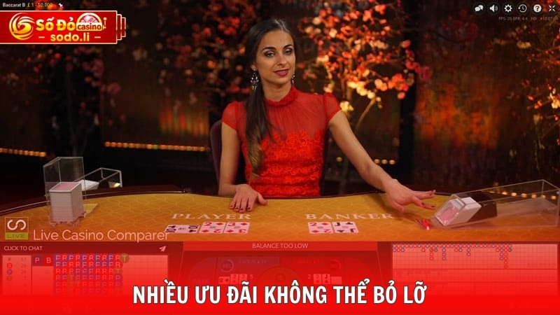 Nhiều ưu đãi không thể bỏ lỡ Nhiều ưu đãi không thể bỏ lỡ