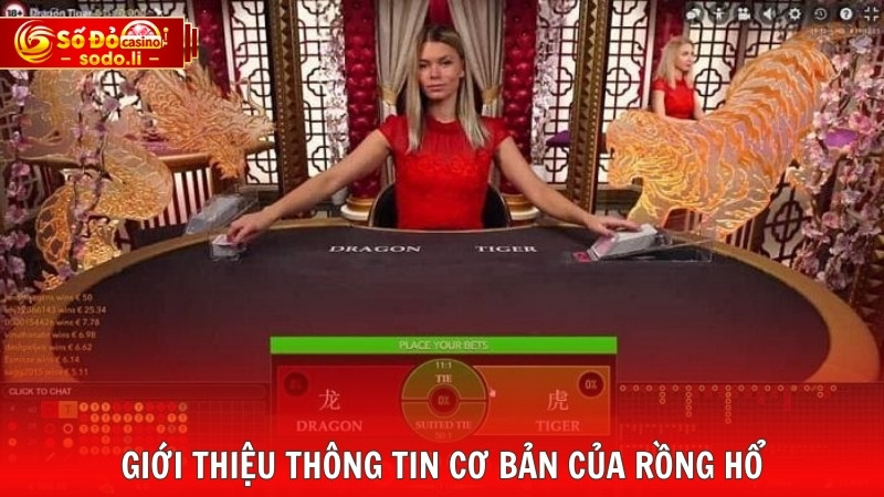 Giới thiệu thông tin cơ bản của rồng hổ Giới thiệu thông tin cơ bản của rồng hổ