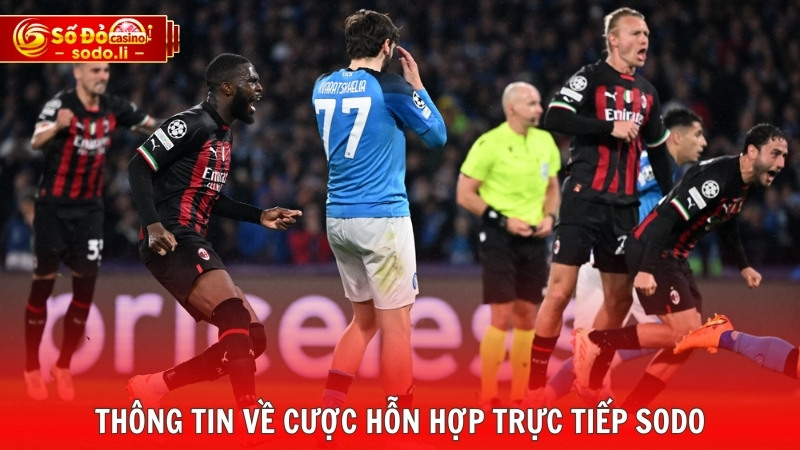 Thông tin về cược hỗn hợp trực tiếp SODO Thông tin về cược hỗn hợp trực tiếp SODO