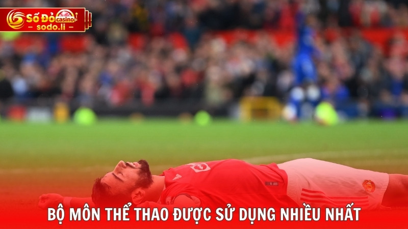 Bộ môn thể thao được sử dụng nhiều nhất Bộ môn thể thao được sử dụng nhiều nhất
