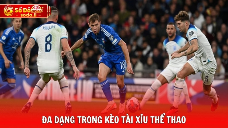 Đa dạng trong kèo tài xỉu thể thao Đa dạng trong kèo tài xỉu thể thao