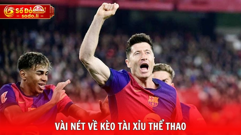 Vài nét về kèo tài xỉu thể thao Vài nét về kèo tài xỉu thể thao