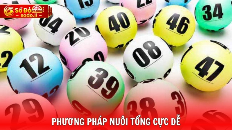 Phương pháp nuôi tổng cực dễ Phương pháp nuôi tổng cực dễ