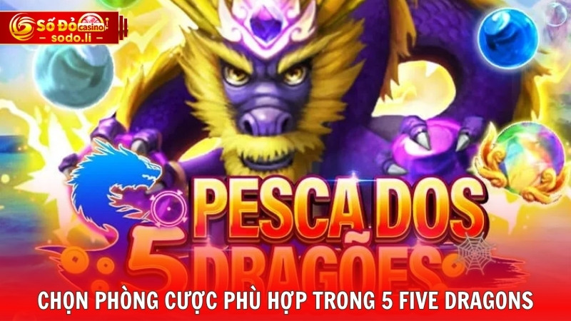 Chọn phòng cược phù hợp trong 5 Five Dragons Chọn phòng cược phù hợp trong 5 Five Dragons