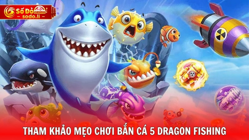 Tham khảo mẹo chơi bắn cá 5 Dragon Fishing Tham khảo mẹo chơi bắn cá 5 Dragon Fishing