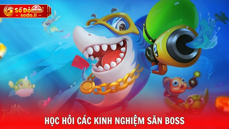 Học hỏi các kinh nghiệm săn boss Học hỏi các kinh nghiệm săn boss