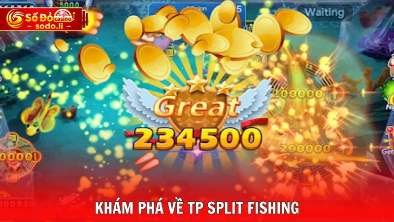 Khám phá về TP Split Fishing Khám phá về TP Split Fishing