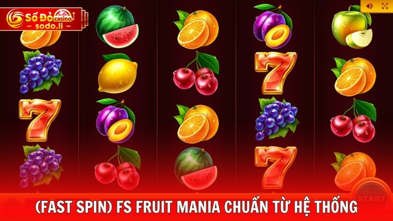 Mẹo cược (Fast Spin) FS Fruit Mania chuẩn từ hệ thống Mẹo cược (Fast Spin) FS Fruit Mania chuẩn từ hệ thống