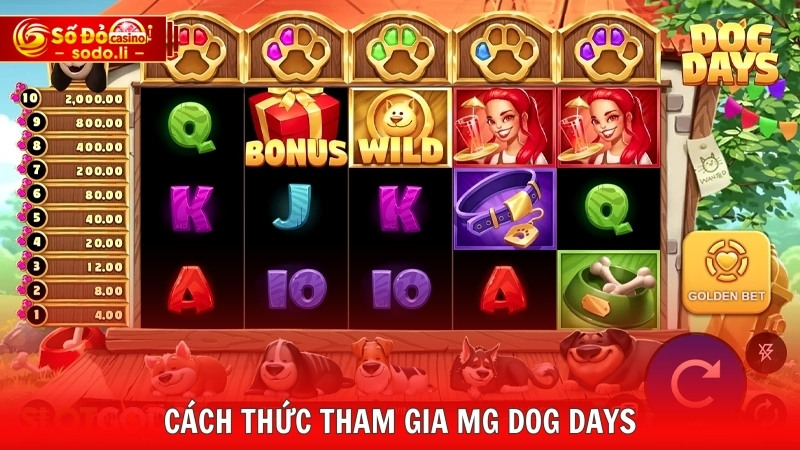 Cách thức tham gia MG Dog Days Cách thức tham gia MG Dog Days