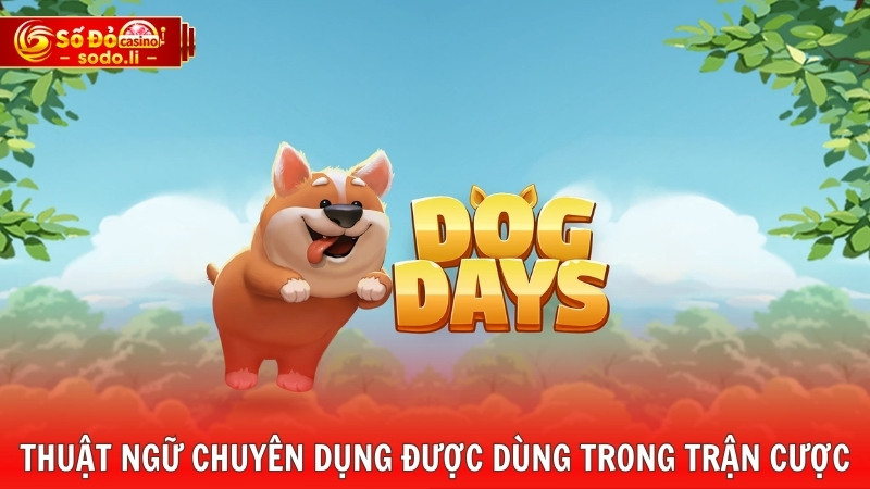 Thuật ngữ chuyên dụng được dùng trong trận cược Thuật ngữ chuyên dụng được dùng trong trận cược