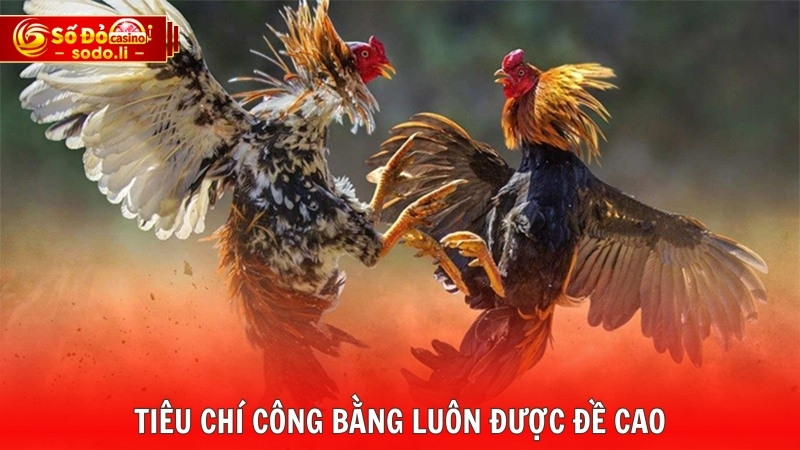 Tiêu chí công bằng luôn được đề cao Tiêu chí công bằng luôn được đề cao