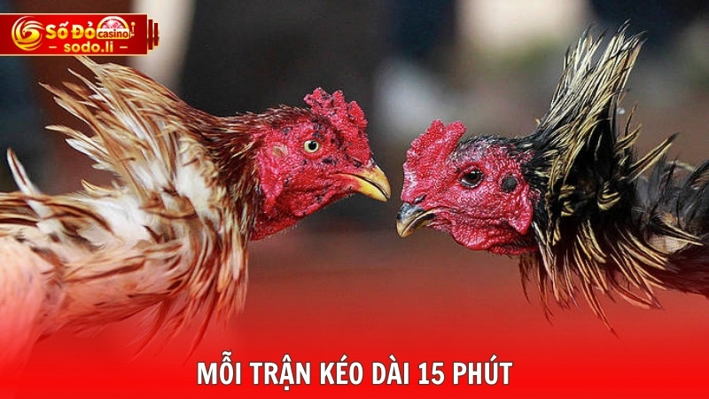 Mỗi trận kéo dài 15 phút Mỗi trận kéo dài 15 phút
