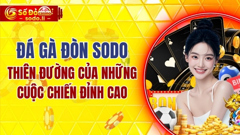 đá gà đòn SODO