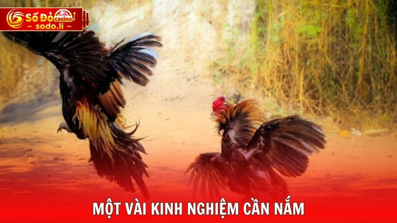 Một vài kinh nghiệm cần nắm Một vài kinh nghiệm cần nắm