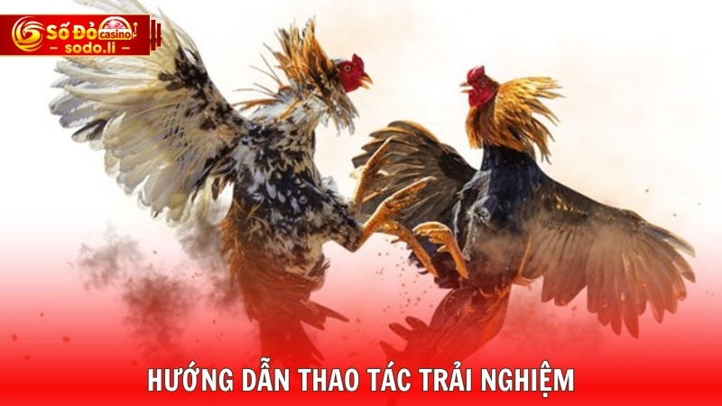 Hướng dẫn thao tác trải nghiệm Hướng dẫn thao tác trải nghiệm