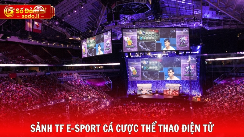 Sảnh TF E-Sport cá cược thể thao điện tử Sảnh TF E-Sport cá cược thể thao điện tử