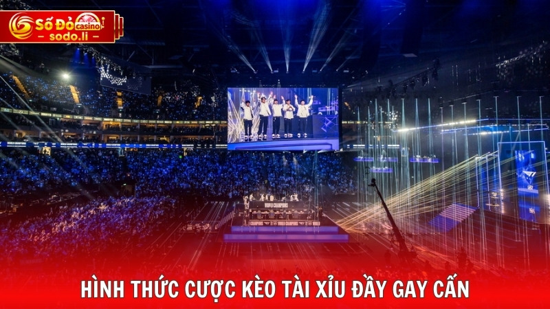 Hình thức cược kèo tài xỉu đầy gay cấn Hình thức cược kèo tài xỉu đầy gay cấn