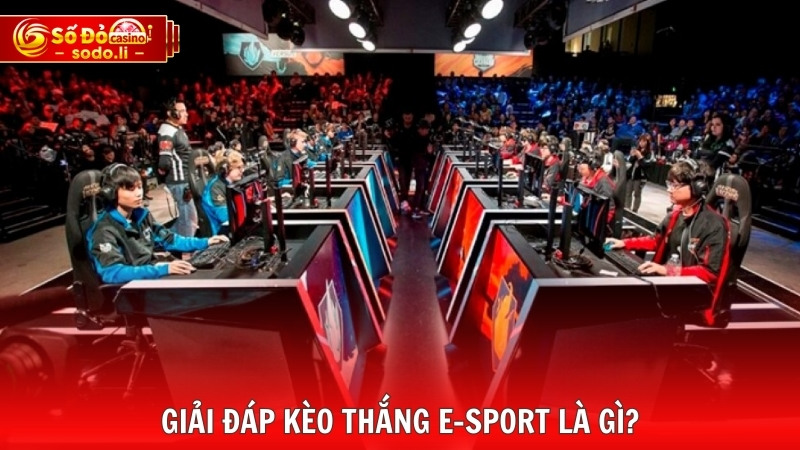 Giải đáp kèo thắng E-sport là gì? Giải đáp kèo thắng E-sport là gì?