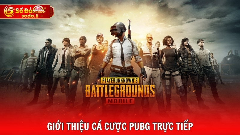 Giới thiệu cá cược PUBG trực tiếp Giới thiệu cá cược PUBG trực tiếp