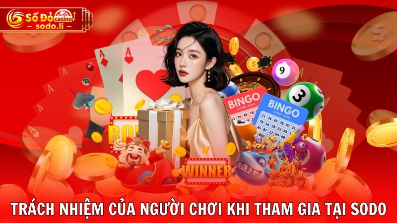 Trách nhiệm của người chơi khi tham gia tại SODO Trách nhiệm của người chơi khi tham gia tại SODO