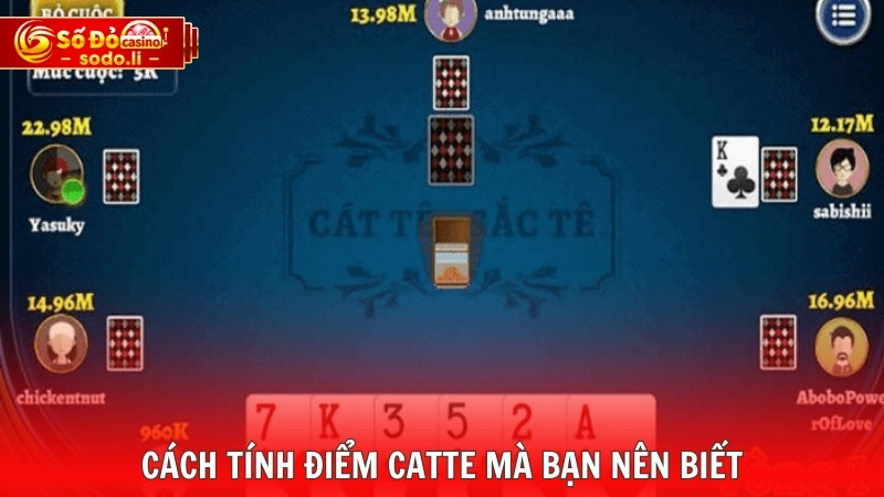 Cách tính điểm Catte mà bạn nên biết Cách tính điểm Catte mà bạn nên biết