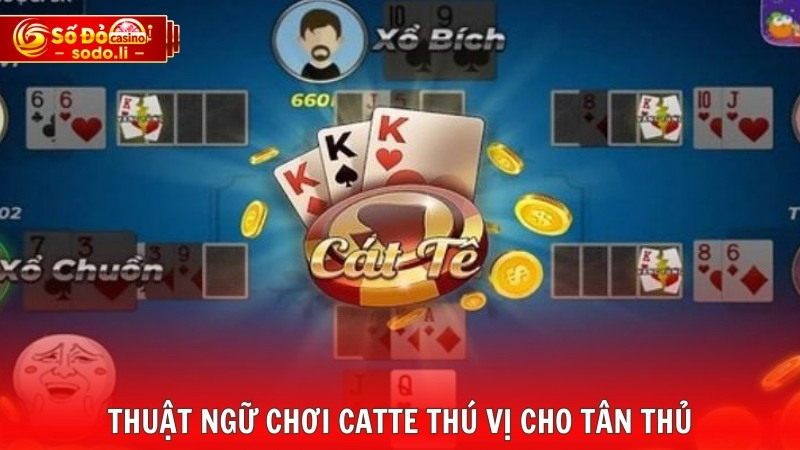 Thuật ngữ chơi Catte thú vị cho tân thủ Thuật ngữ chơi Catte thú vị cho tân thủ