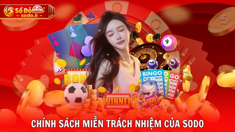 Chính sách miễn trách nhiệm của SODO Chính sách miễn trách nhiệm của SODO