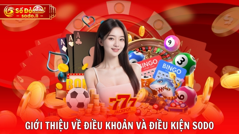 Giới thiệu về điều khoản và điều kiện SODO Giới thiệu về điều khoản và điều kiện SODO
